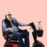 Scooter Pegasus Pro [Pkg-1637601] - Think Mobility